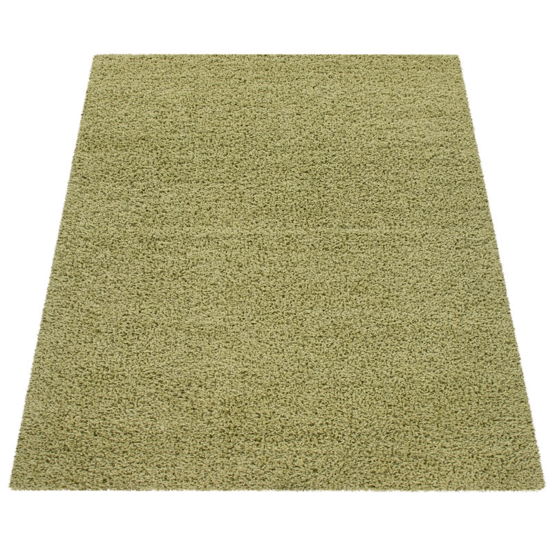 Ebern Designs Greensboro Shag Green Area Rug & Reviews Wayfair